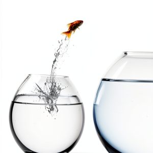 HarperOne Personal Transformation eBook Motivational-0